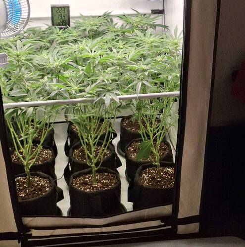 Growreport Bild 12