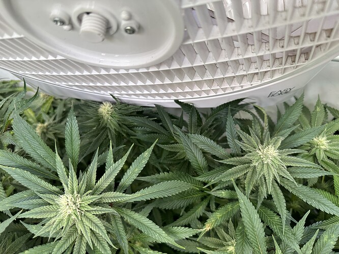 Growreport Bild 7