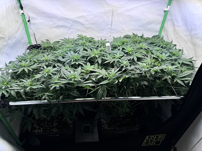 Growreport Bild 6