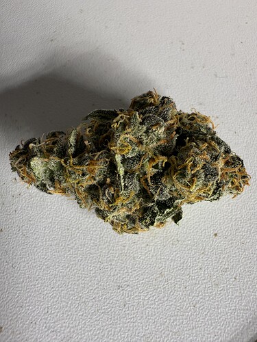 Growreport Bild 21