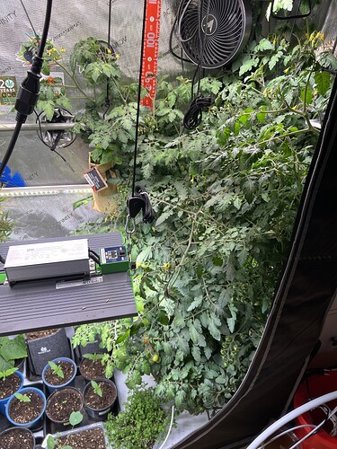 Growreport Bild 14
