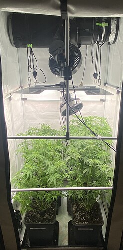 Growreport Bild 8