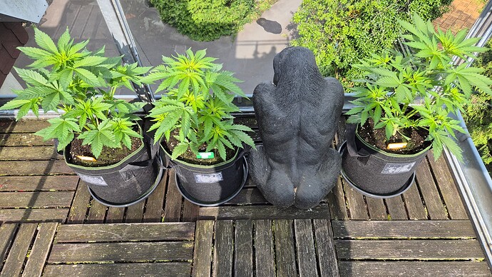 Growreport Bild 12