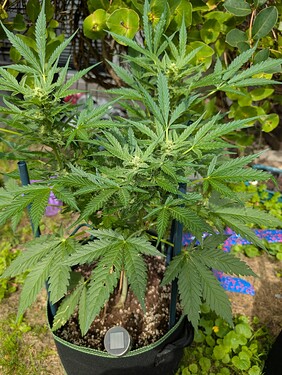 Growreport Bild 8