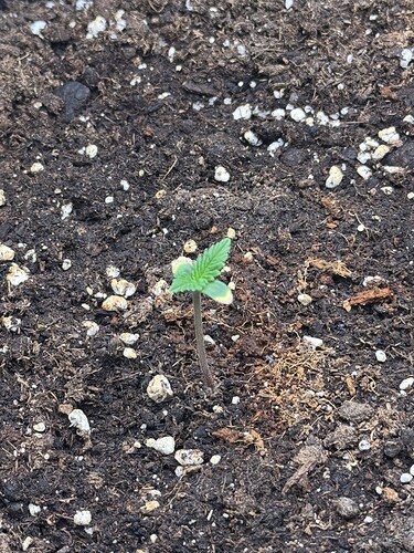 Growreport Bild 10