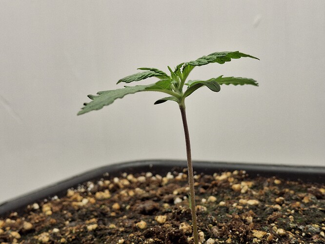 Growreport Bild 22