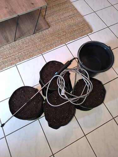 Growreport Bild 30