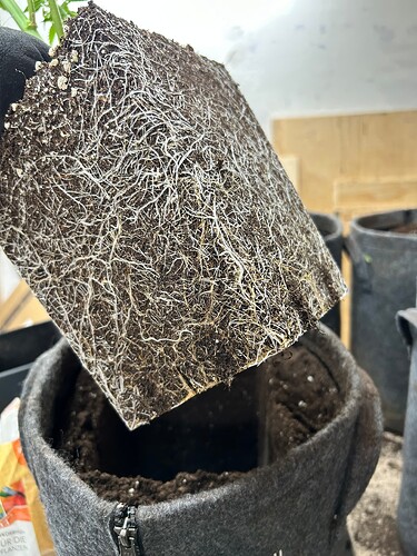 Growreport Bild 5