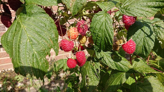 Growreport Bild 17