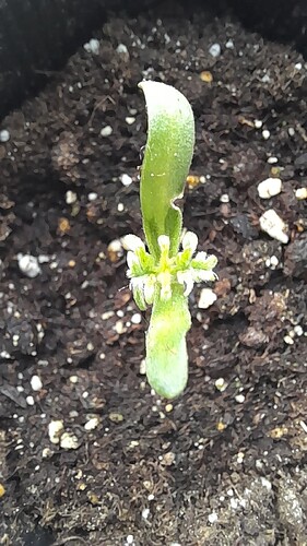 Growreport Bild 9