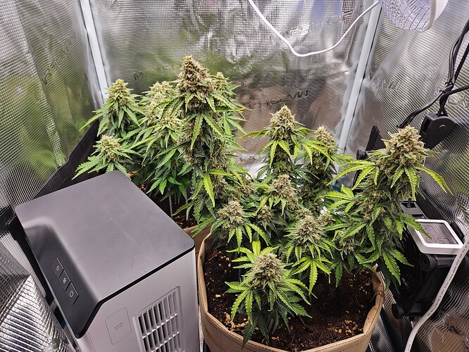 Growreport Bild 100