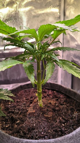 Growreport Bild 23