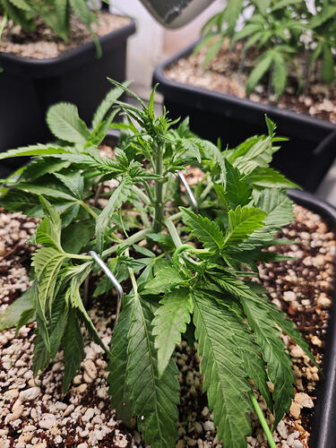 Growreport Bild 20