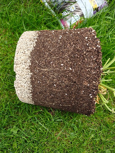 Growreport Bild 9