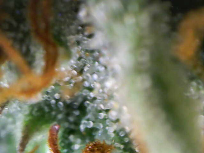 Photo_2026-03-04 16_37_46_718