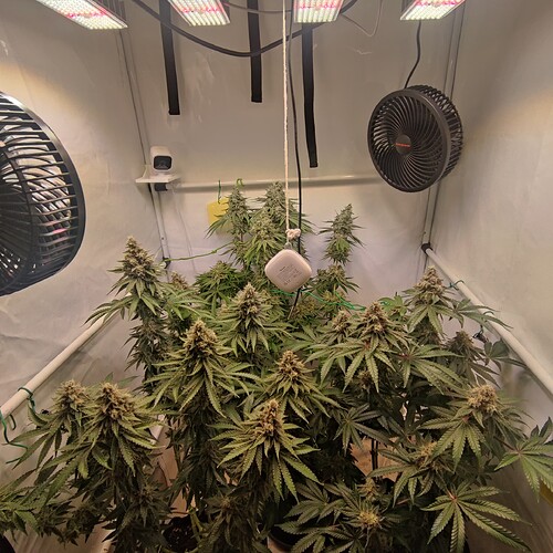 Growreport Bild 4