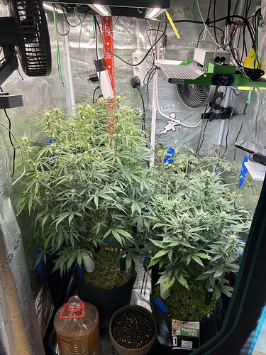 Growreport Bild 6