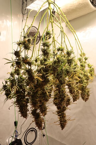 Growreport Bild 6