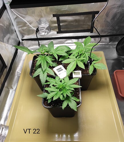 Growreport Bild 29