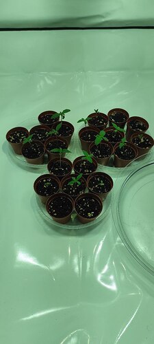 photo_5438534276393064119_y