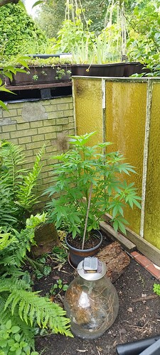 Growreport Bild 8