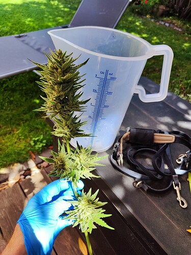 Growreport Bild 16