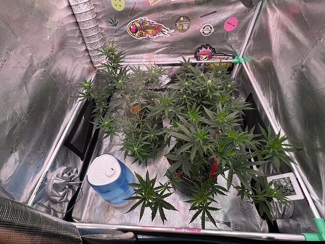 Growreport Bild 5