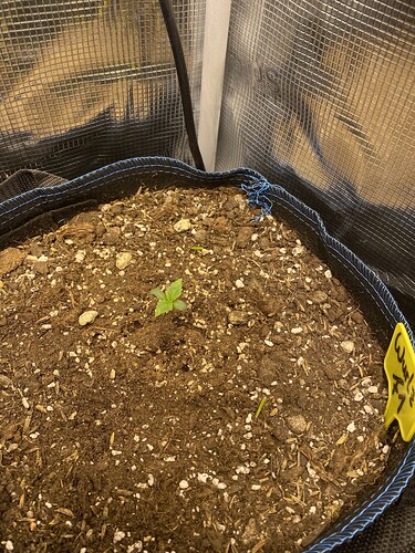 Growreport Bild 11