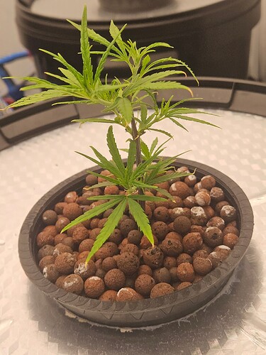 Growreport Bild 28