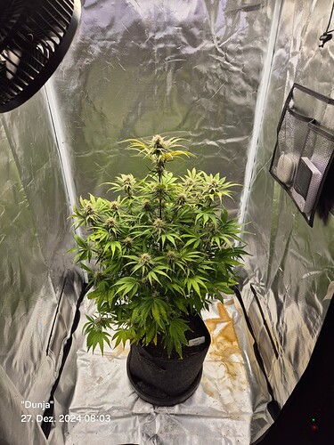 Growreport Bild 14