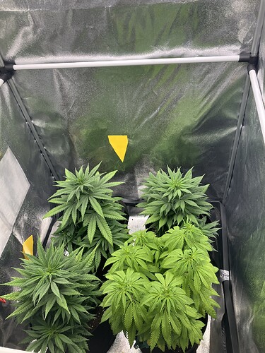Growreport Bild 3