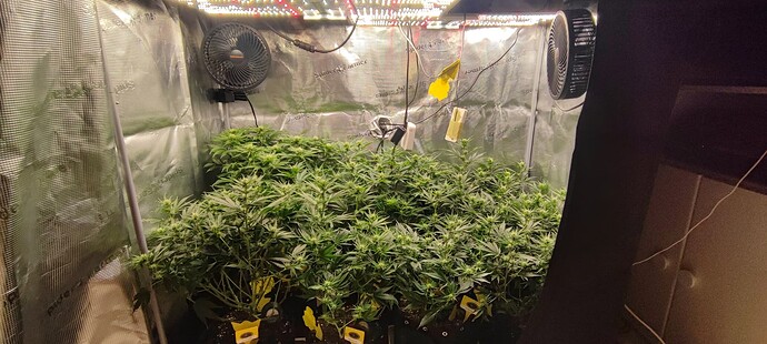 Growreport Bild 1