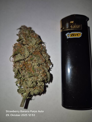 Growreport Bild 13