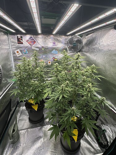 Growreport Bild 11