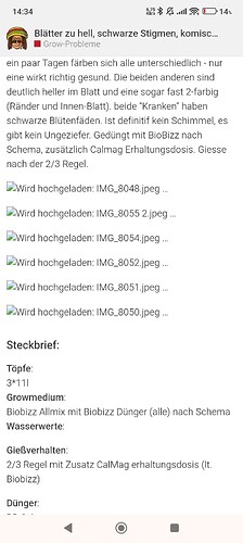 1000073887