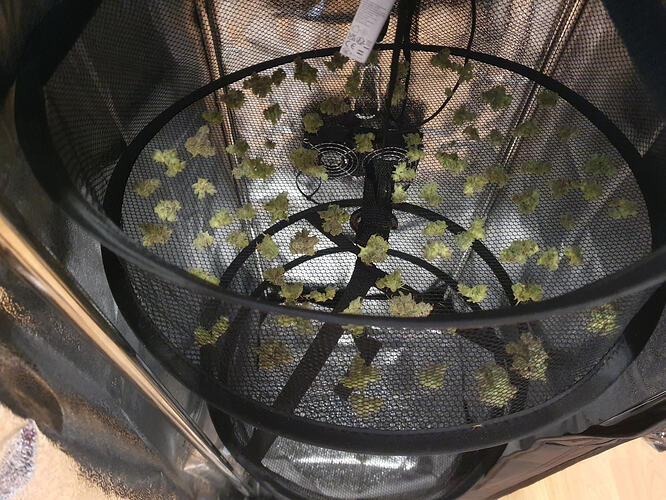 Growreport Bild 27