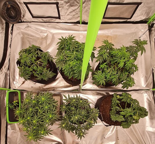Growreport Bild 11