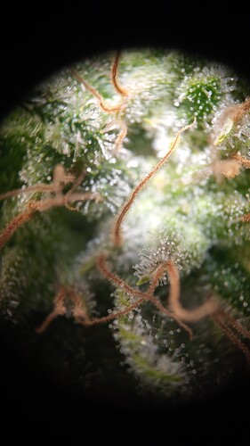 Growreport Bild 24