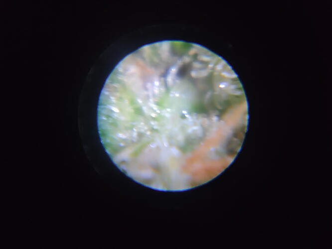 Growreport Bild 11