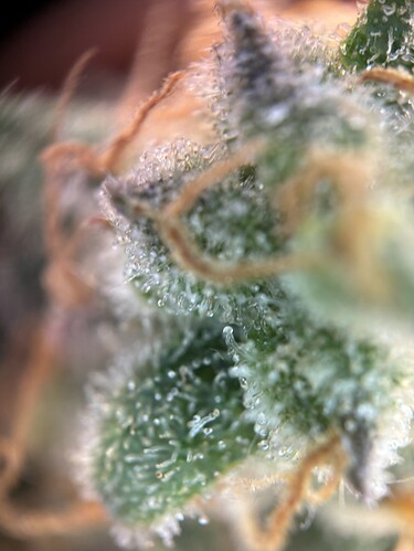 Growreport Bild 23