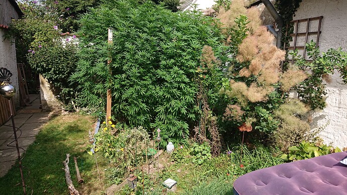 Growreport Bild 23