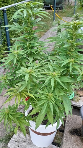 Growreport Bild 10