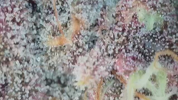 Growreport Bild 20