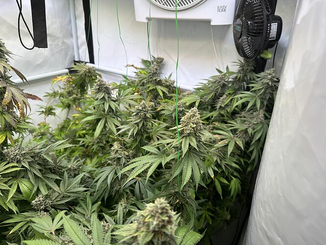 Growreport Bild 1