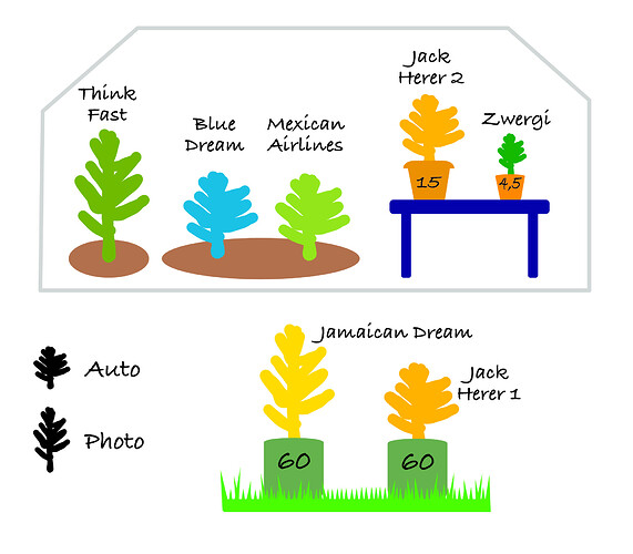 Growreport Bild 29