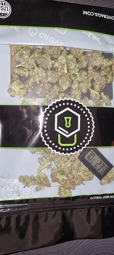 Growreport Bild 60
