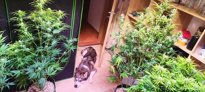 Growreport Bild 11