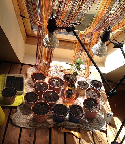 Grow26_0513_4