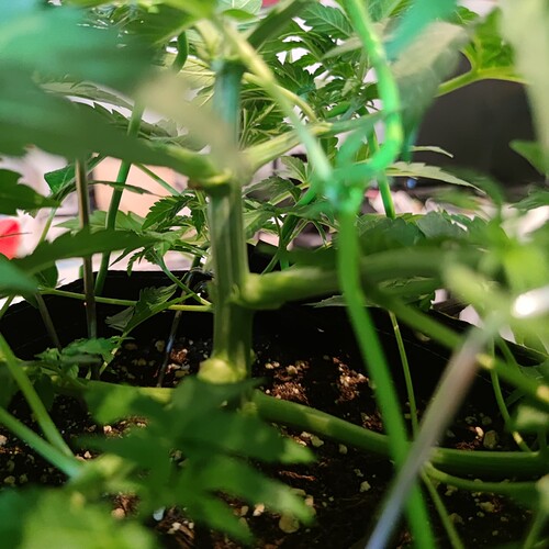 Growreport Bild 23