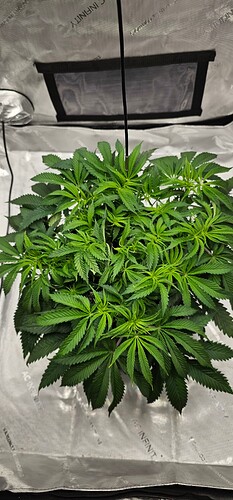 Growreport Bild 2